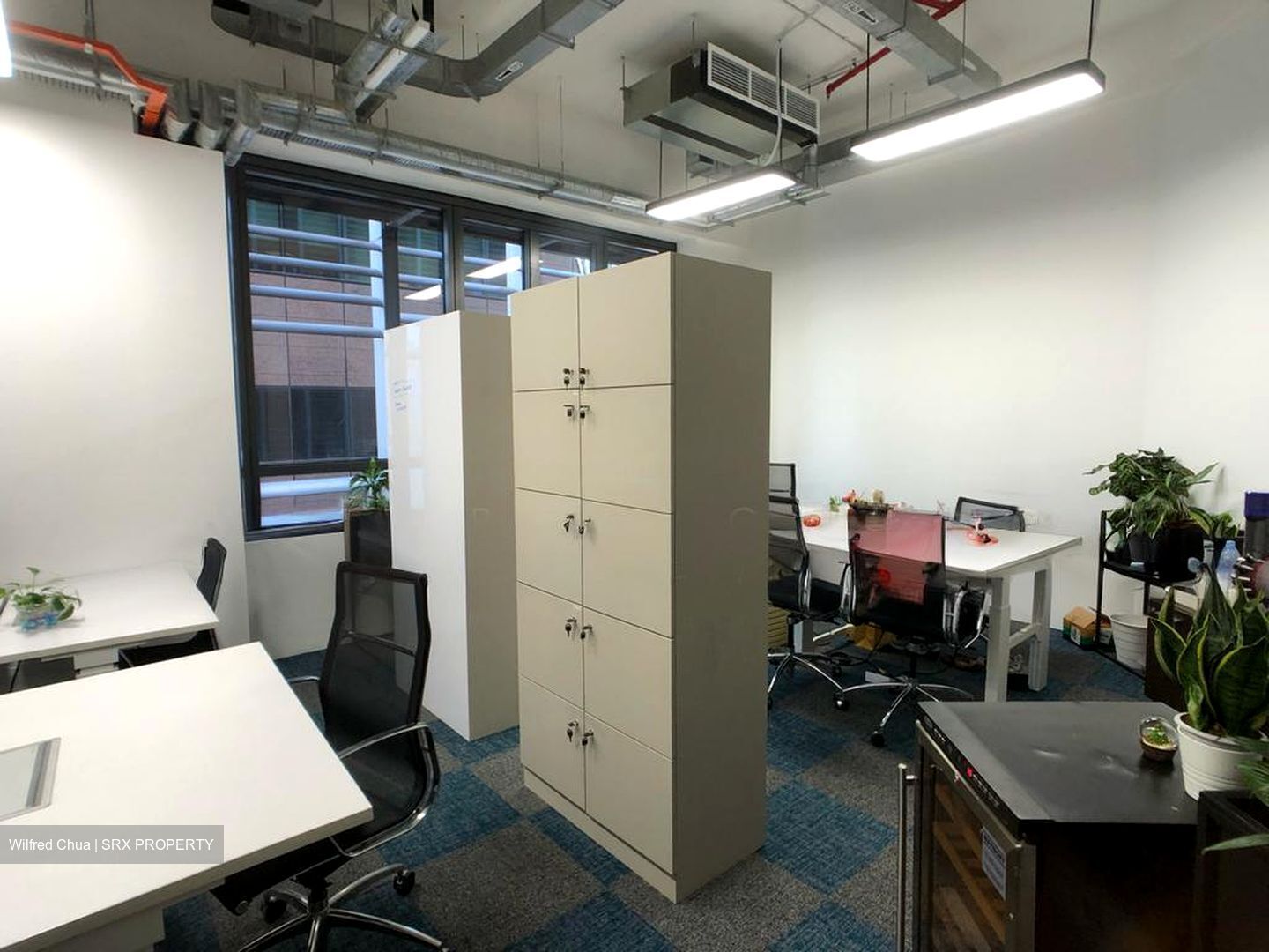 PLUS (D1), Office #579575241